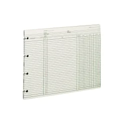 Outlet Ledger Paper, Balance Ledger, 9 1/4" x 11 7/8", Green, 100 Sheets (WLJGN2D) Accounting & Record Journals