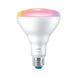 Smart Bulbs<Philips WiZ 65W Equivalent BR30 LED Smart Bulb, White, 2/Pack (603654)