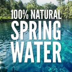 Bottled Water<Zephyrhills 100% Natural Spring Water, 16.9 oz. Plastic Bottles, 24/Carton (11475233)
