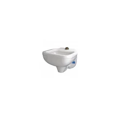 Sinks<Zurn Blowout Service Sink, White, Wall-Mounted (Z5410)
